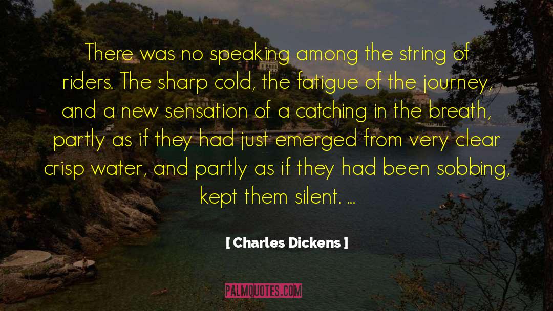 Charles Dickens Quotes: There was no speaking among