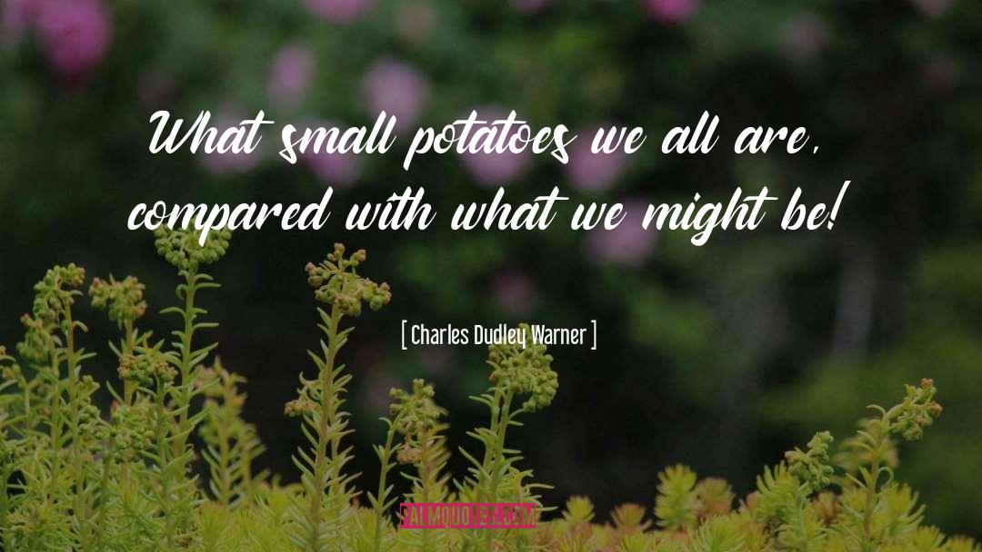 Charles Dudley Warner Quotes: What small potatoes we all