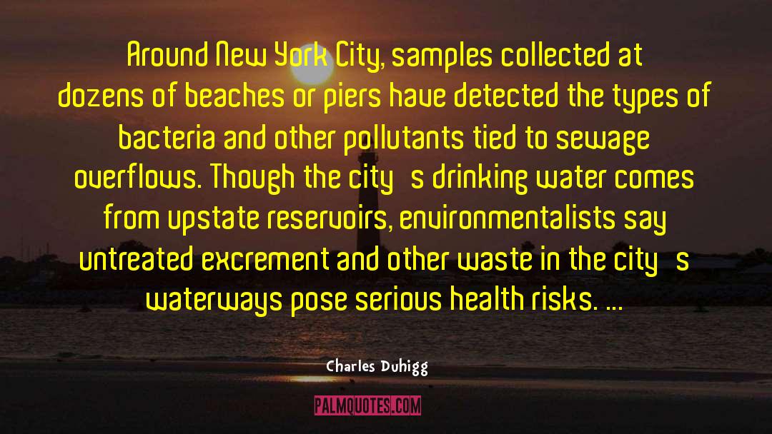 Charles Duhigg Quotes: Around New York City, samples