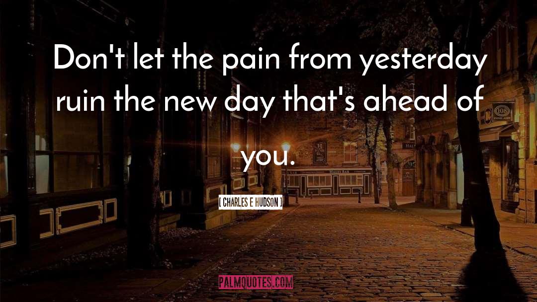 Charles E Hudson Quotes: Don't let the pain from