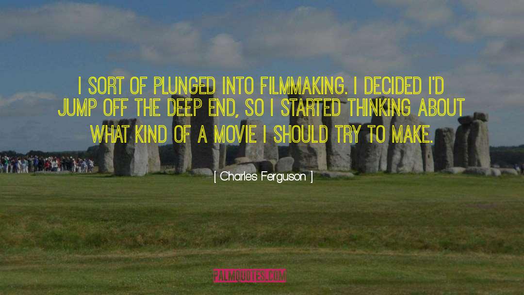 Charles Ferguson Quotes: I sort of plunged into