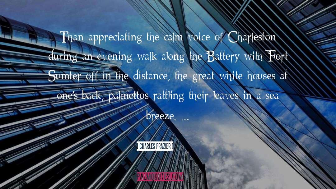 Charles Frazier Quotes: Than appreciating the calm voice