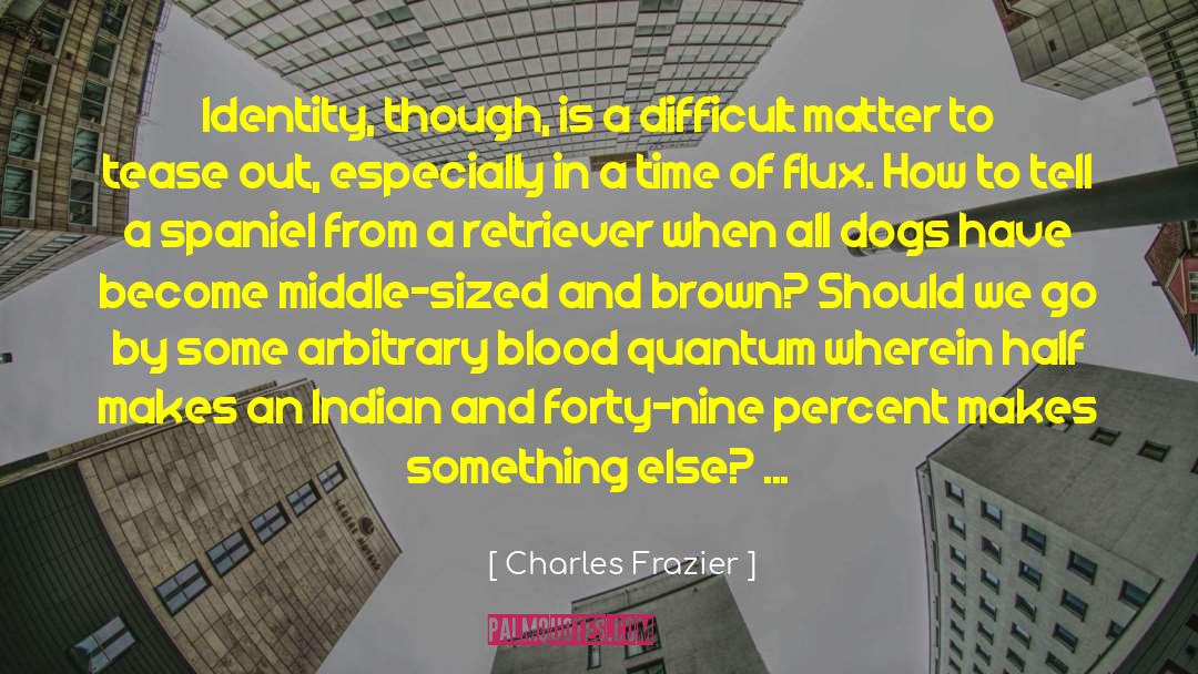 Charles Frazier Quotes: Identity, though, is a difficult