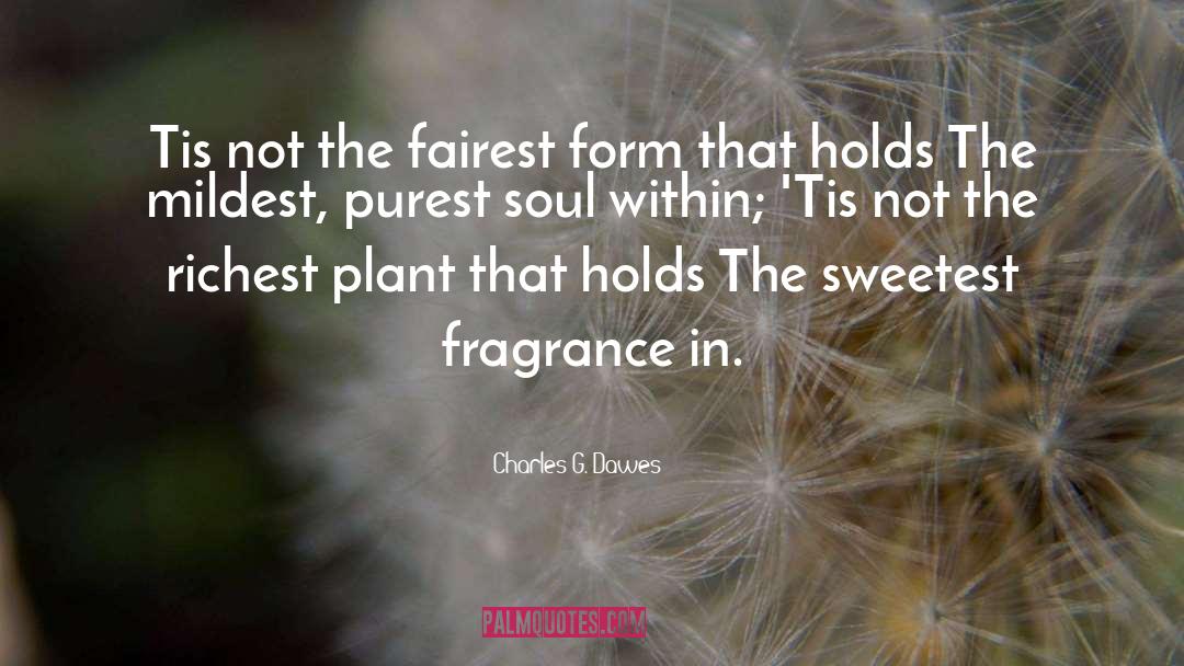 Charles G. Dawes Quotes: Tis not the fairest form