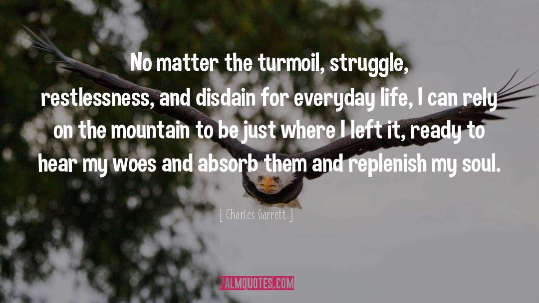 Charles Garrett Quotes: No matter the turmoil, struggle,
