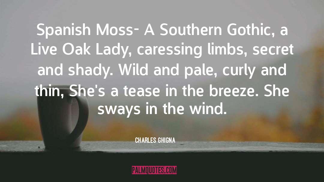 Charles Ghigna Quotes: Spanish Moss- A Southern Gothic,