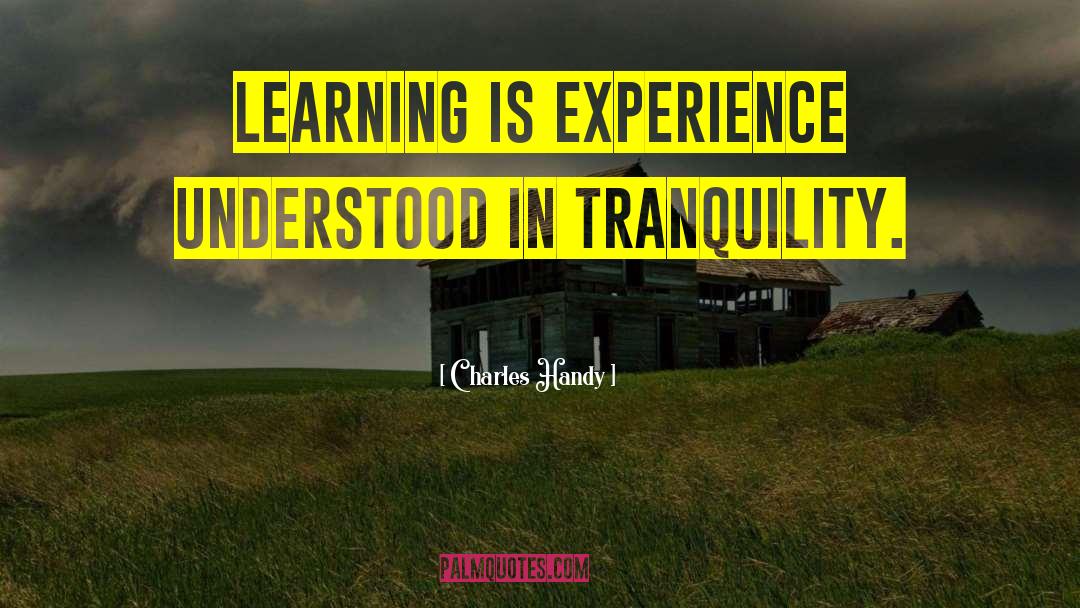 Charles Handy Quotes: Learning is experience understood in