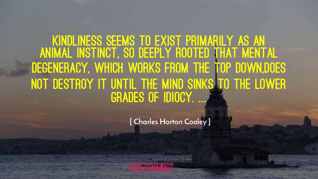 Charles Horton Cooley Quotes: Kindliness seems to exist primarily