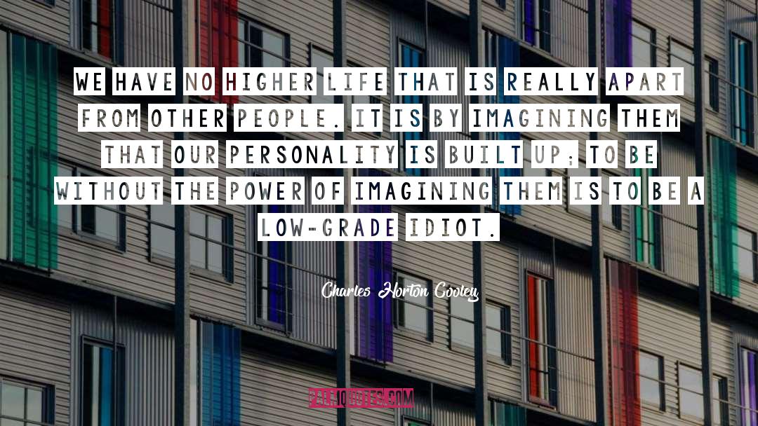 Charles Horton Cooley Quotes: We have no higher life