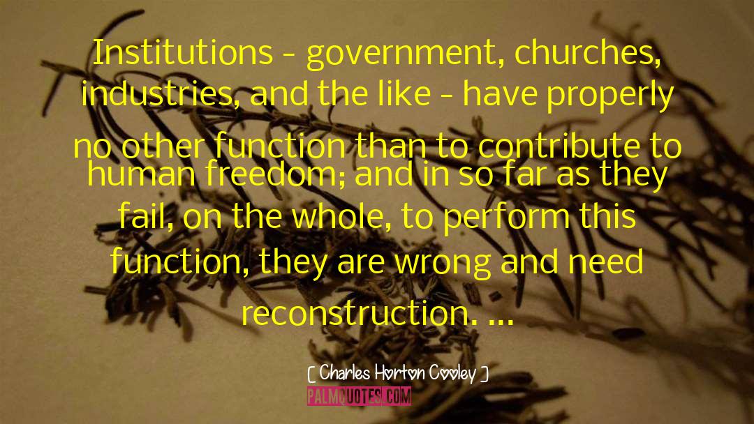 Charles Horton Cooley Quotes: Institutions - government, churches, industries,