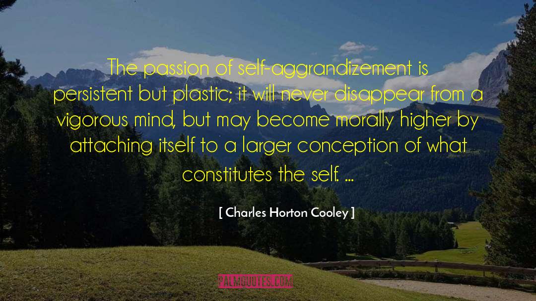 Charles Horton Cooley Quotes: The passion of self-aggrandizement is