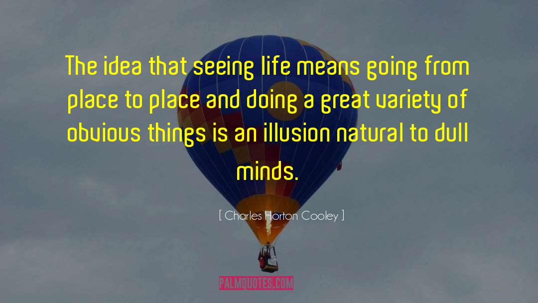 Charles Horton Cooley Quotes: The idea that seeing life