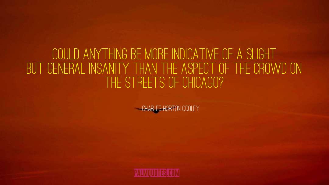Charles Horton Cooley Quotes: Could anything be more indicative