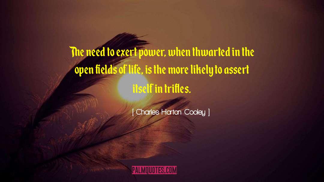 Charles Horton Cooley Quotes: The need to exert power,