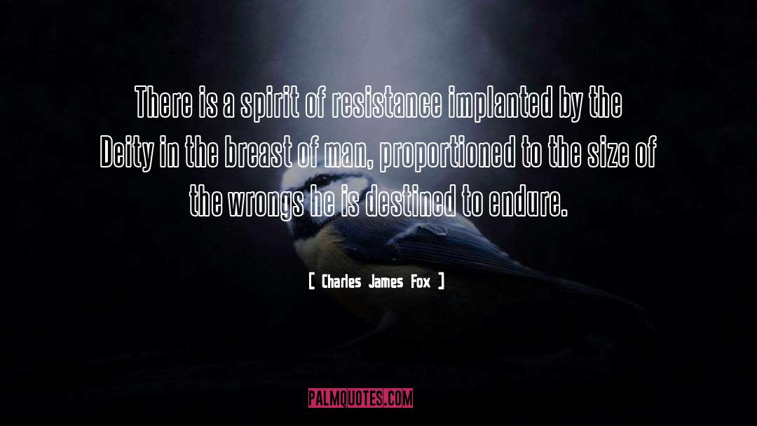 Charles James Fox Quotes: There is a spirit of