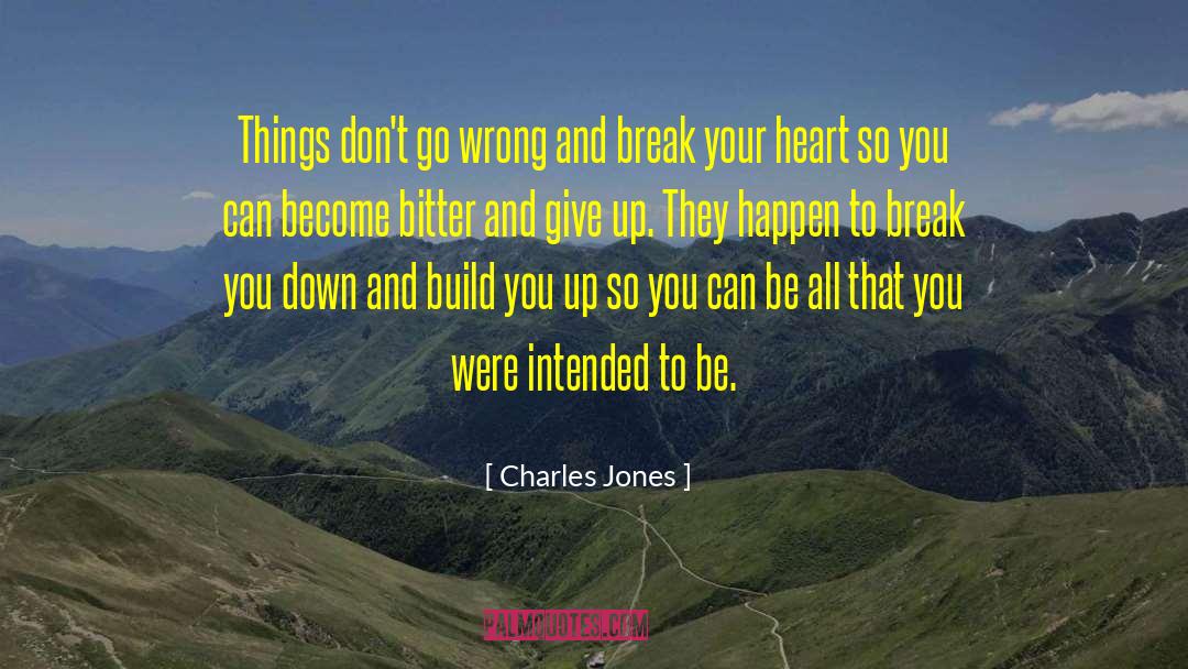 Charles Jones Quotes: Things don't go wrong and