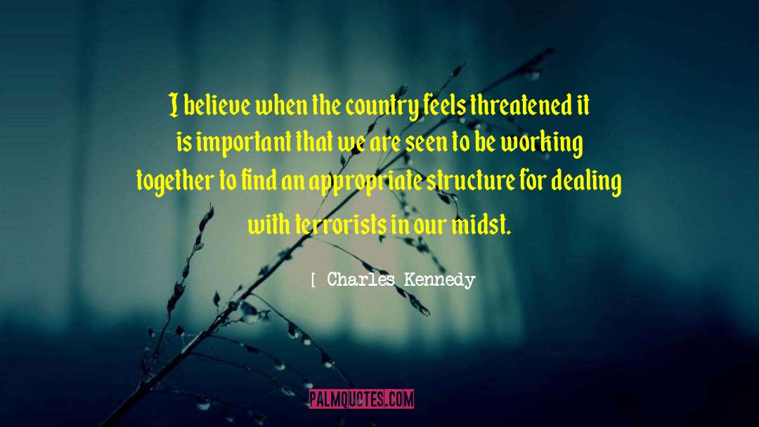 Charles Kennedy Quotes: I believe when the country