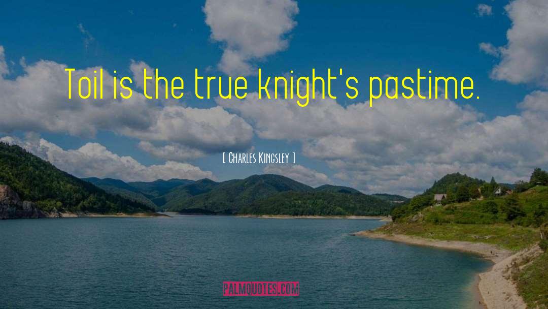 Charles Kingsley Quotes: Toil is the true knight's