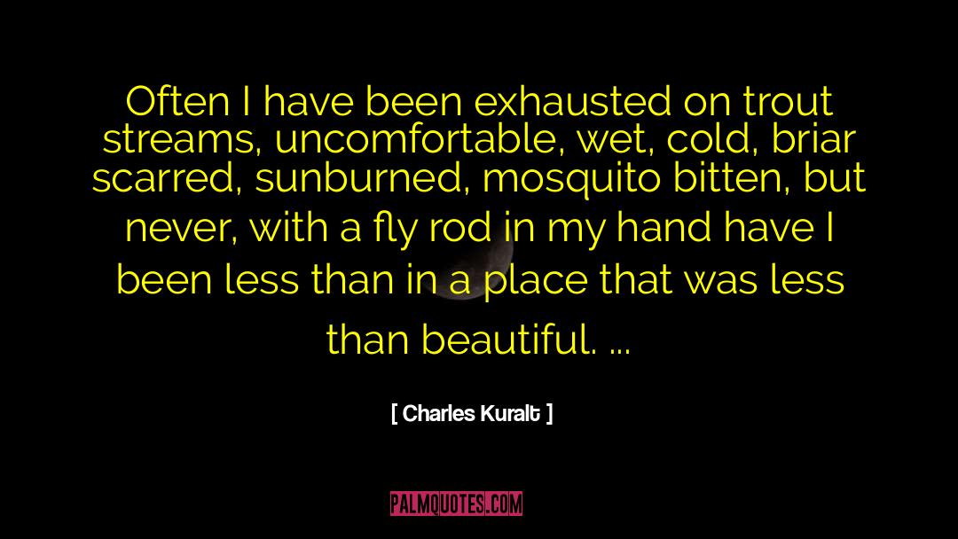 Charles Kuralt Quotes: Often I have been exhausted