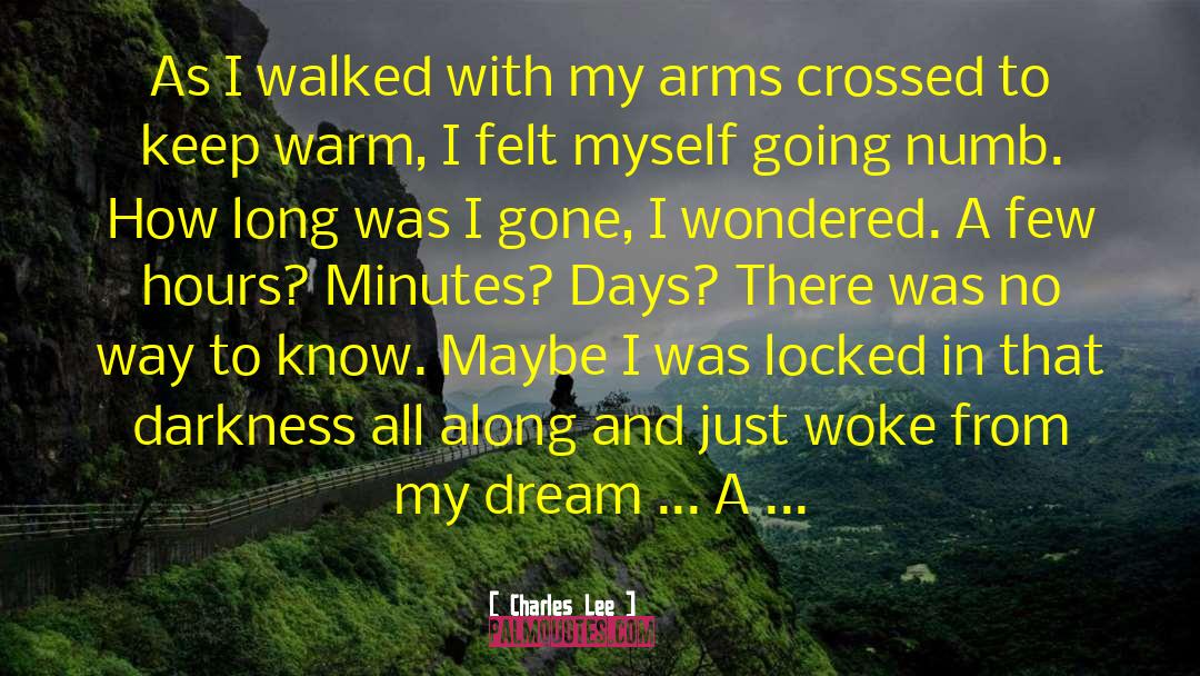 Charles Lee Quotes: As I walked with my