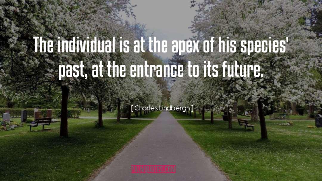 Charles Lindbergh Quotes: The individual is at the