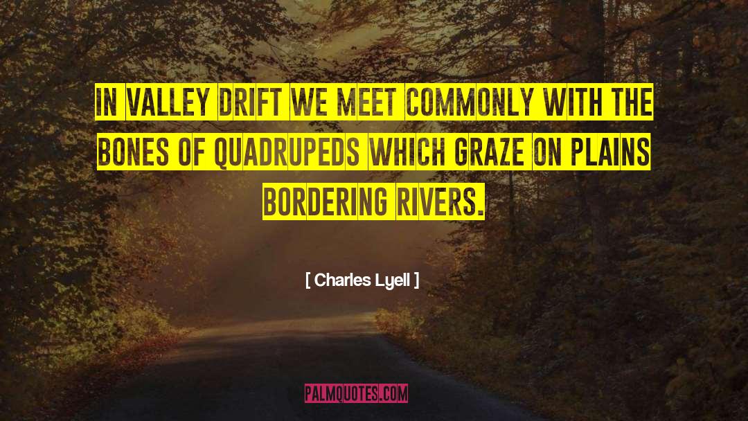 Charles Lyell Quotes: In valley drift we meet