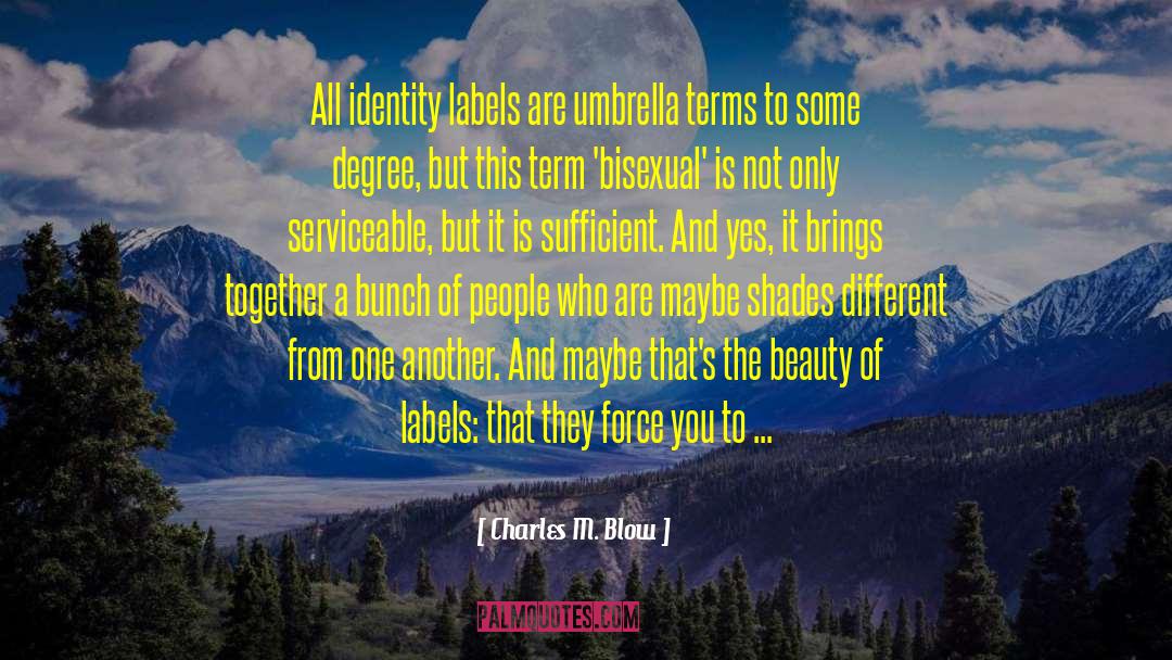 Charles M. Blow Quotes: All identity labels are umbrella