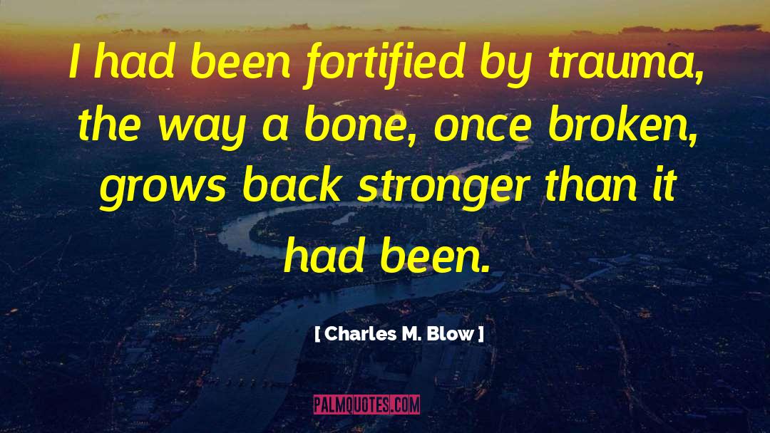 Charles M. Blow Quotes: I had been fortified by