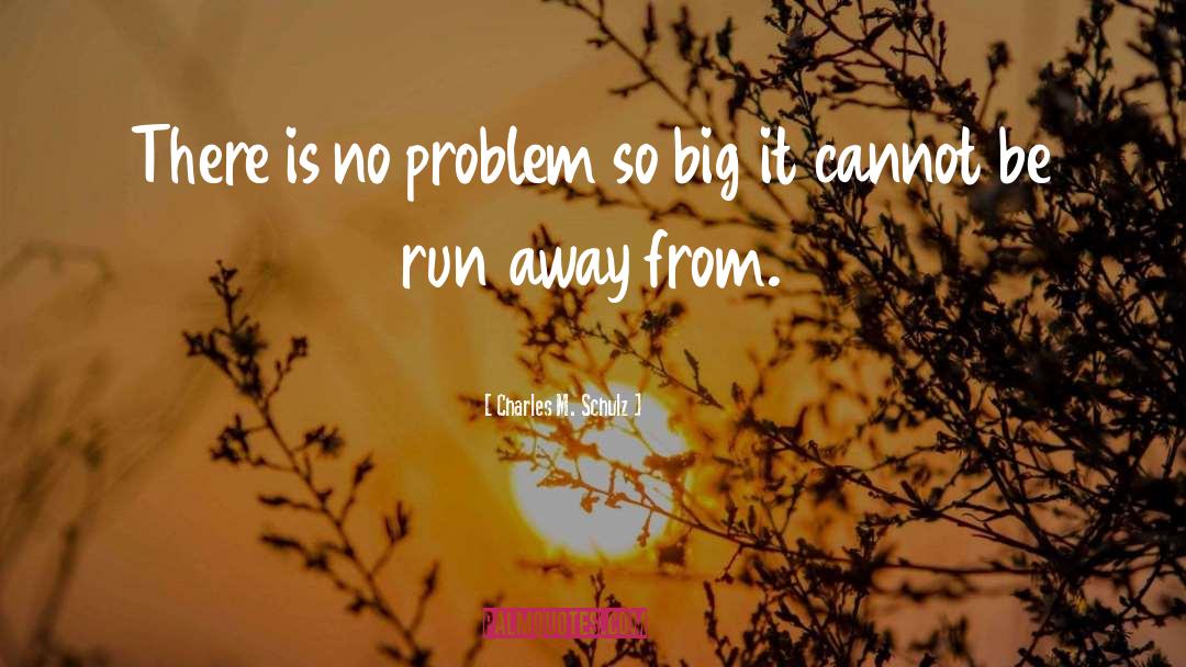 Charles M. Schulz Quotes: There is no problem so