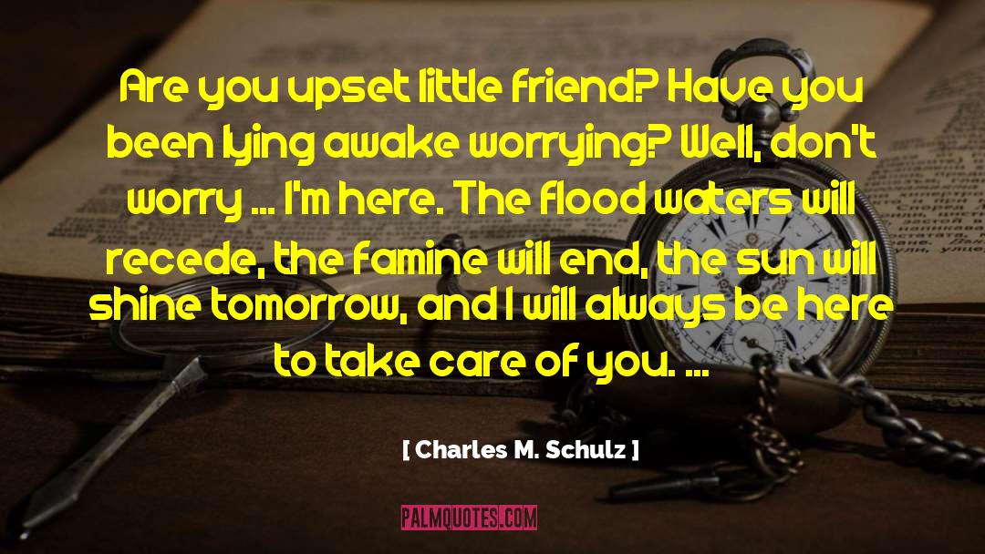 Charles M. Schulz Quotes: Are you upset little friend?