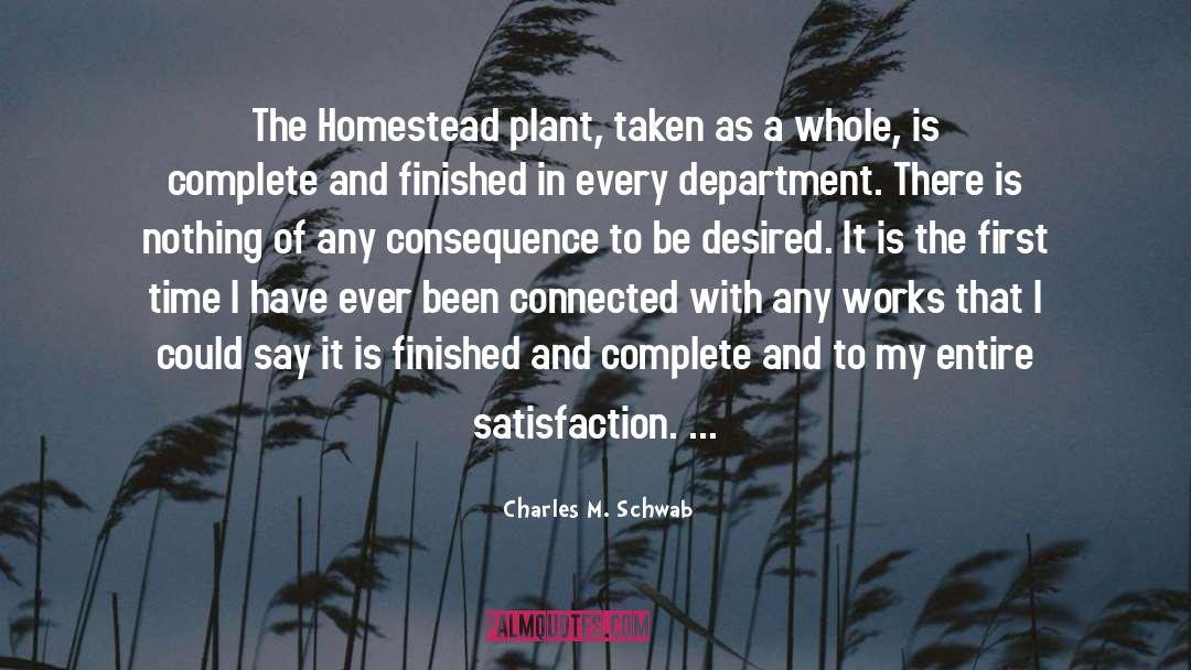 Charles M. Schwab Quotes: The Homestead plant, taken as