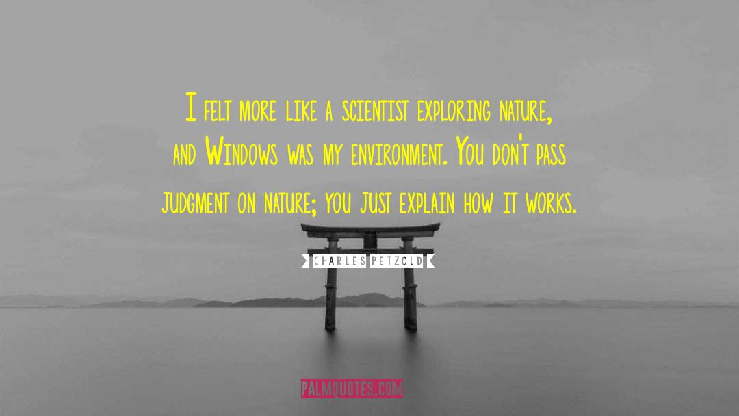 Charles Petzold Quotes: I felt more like a