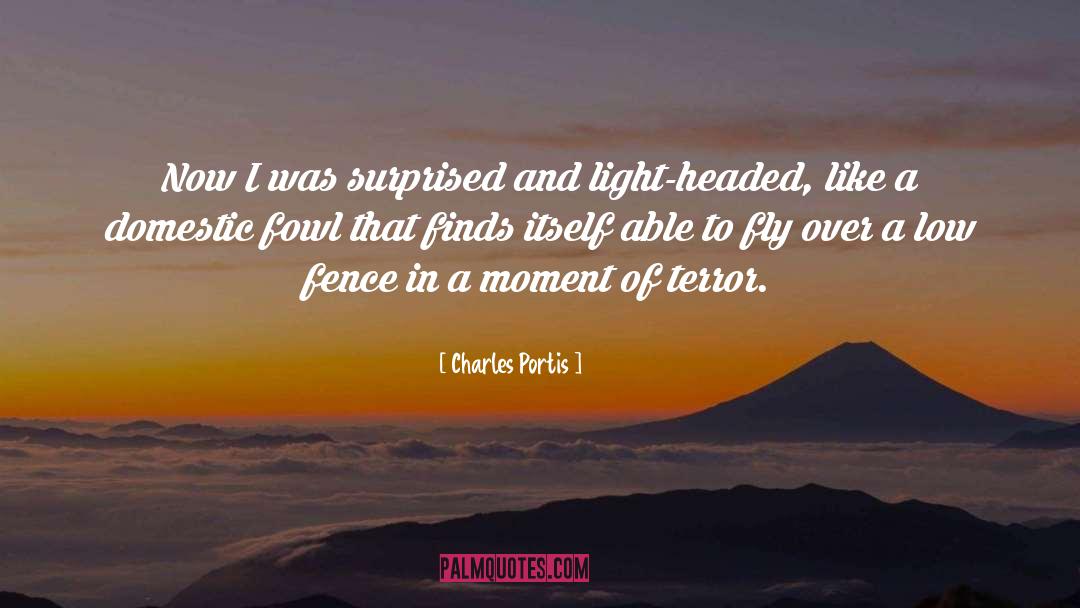 Charles Portis Quotes: Now I was surprised and