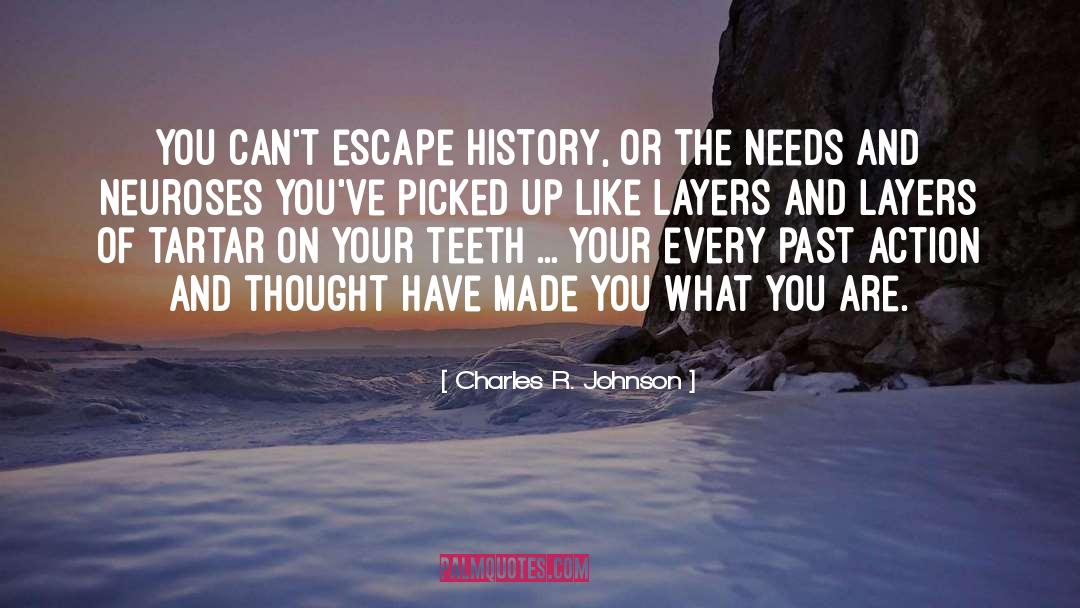 Charles R. Johnson Quotes: You can't escape history, or