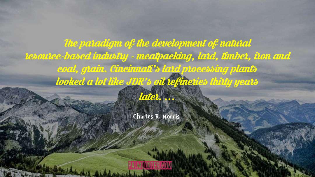 Charles R. Morris Quotes: The paradigm of the development