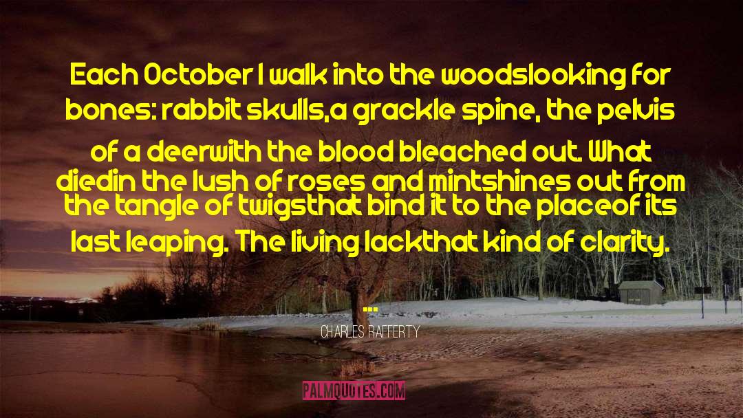 Charles Rafferty Quotes: Each October I walk into