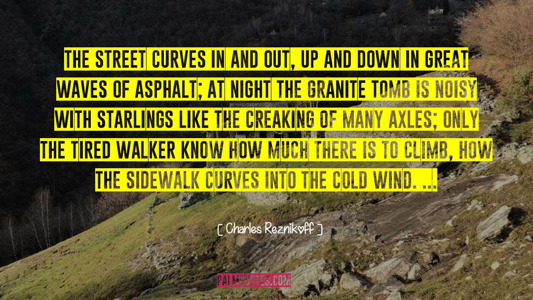 Charles Reznikoff Quotes: The street curves in and