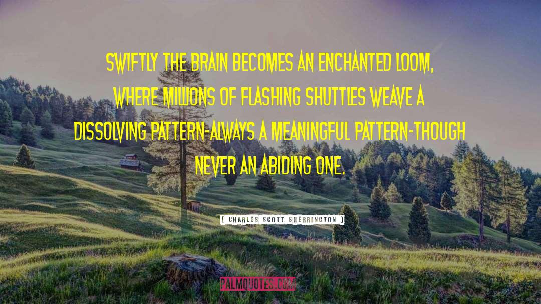 Charles Scott Sherrington Quotes: Swiftly the brain becomes an