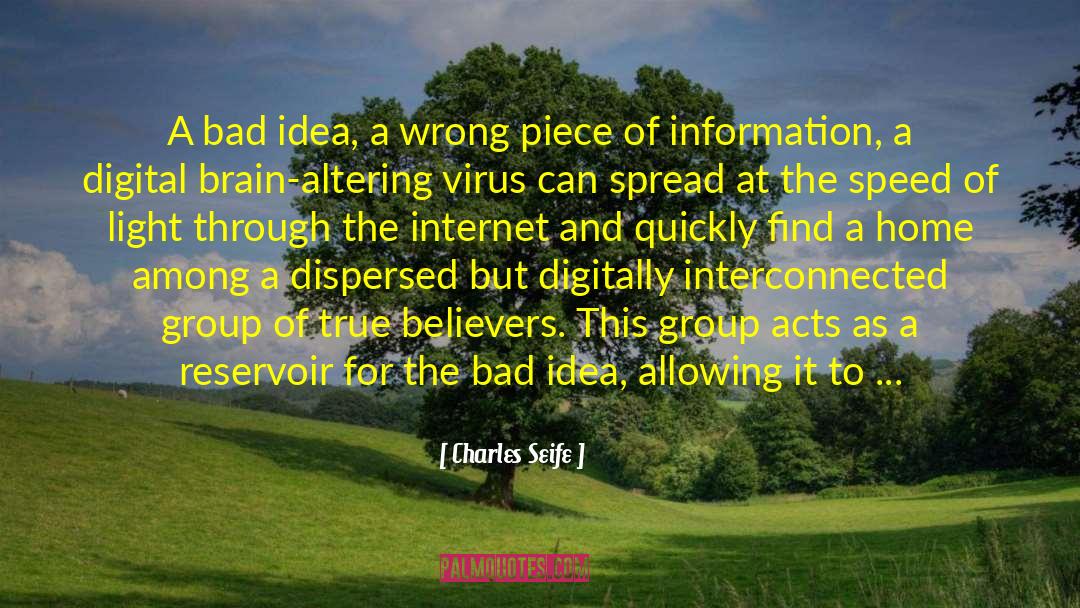 Charles Seife Quotes: A bad idea, a wrong