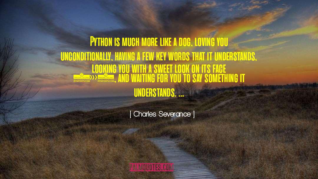 Charles Severance Quotes: Python is much more like