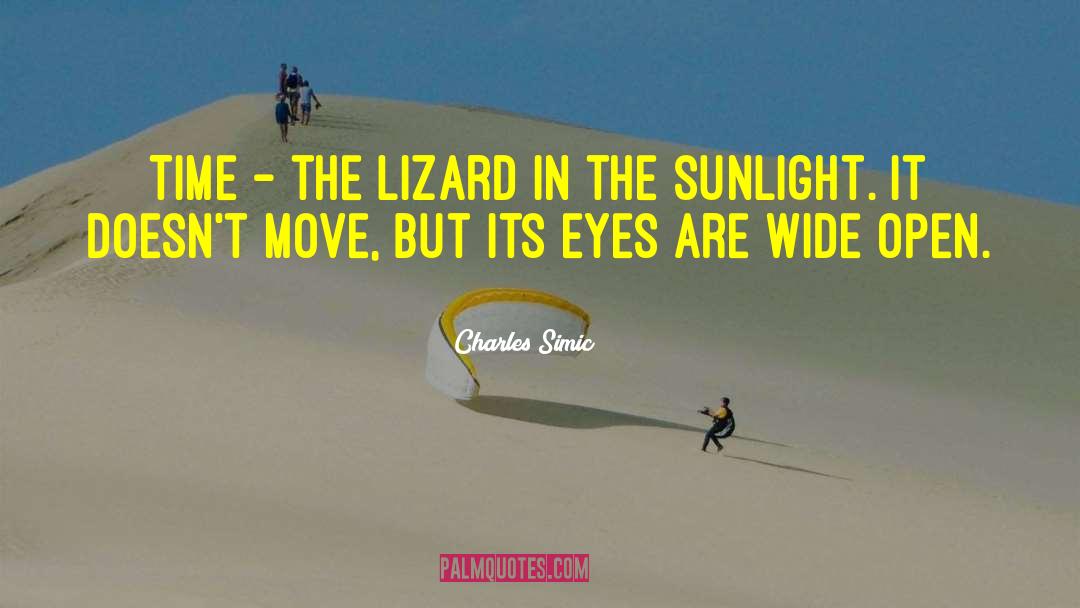 Charles Simic Quotes: Time - the lizard in