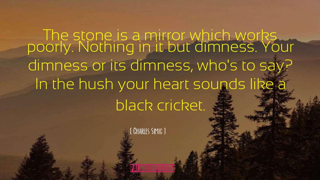 Charles Simic Quotes: The stone is a mirror