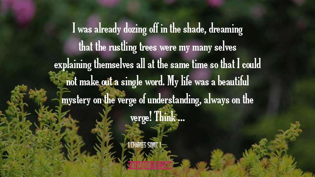 Charles Simic Quotes: I was already dozing off