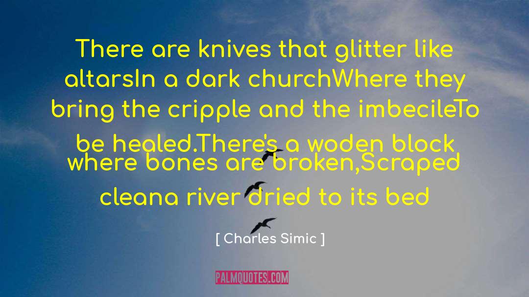 Charles Simic Quotes: There are knives that glitter