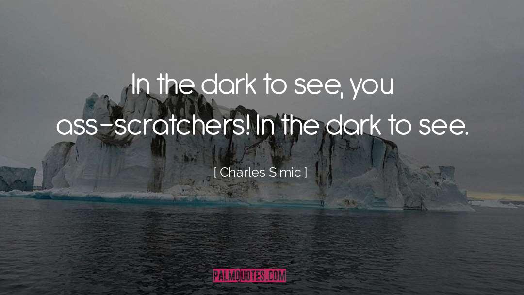 Charles Simic Quotes: In the dark to see,