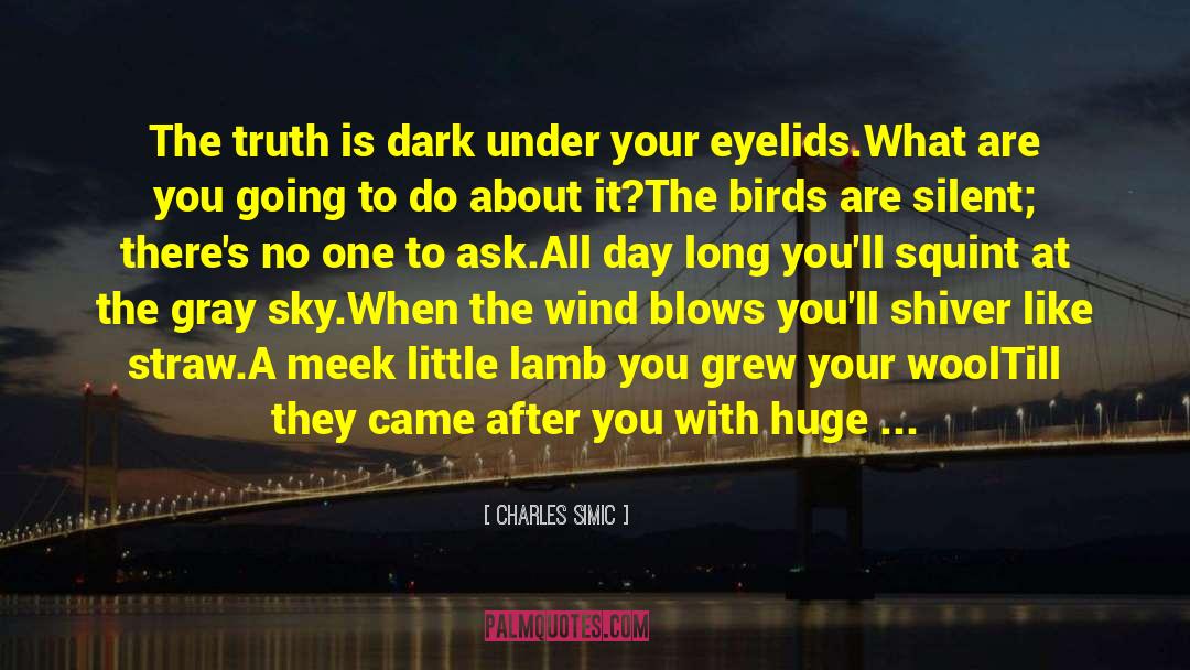 Charles Simic Quotes: The truth is dark under