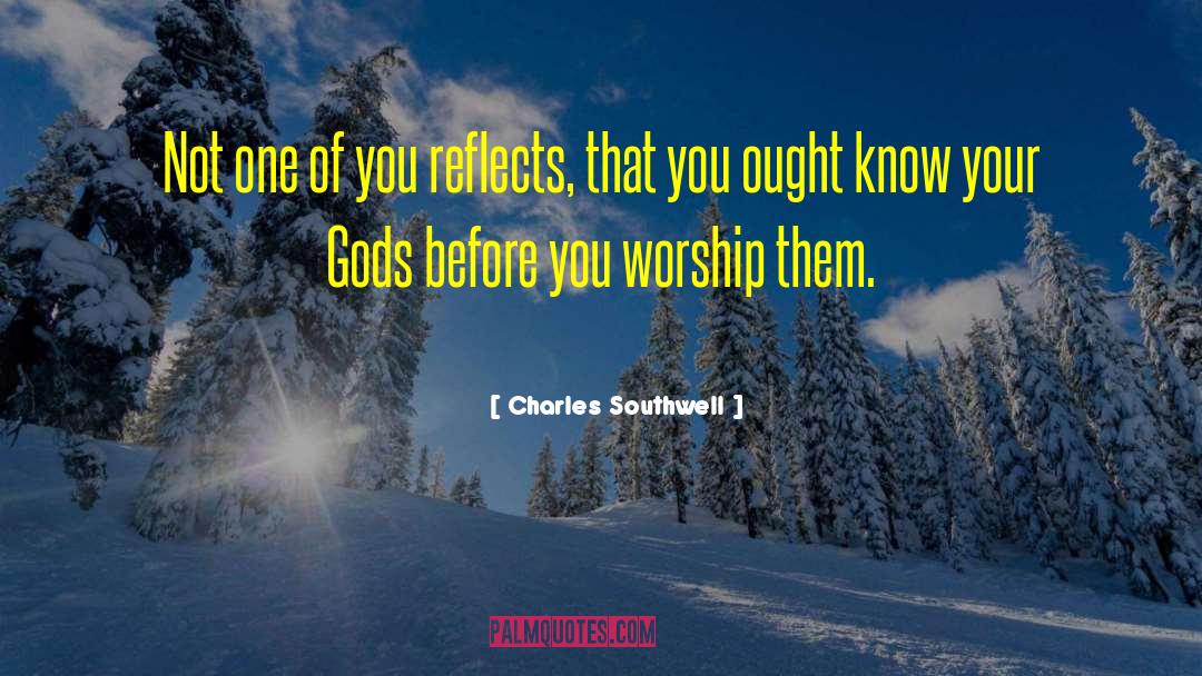 Charles Southwell Quotes: Not one of you reflects,