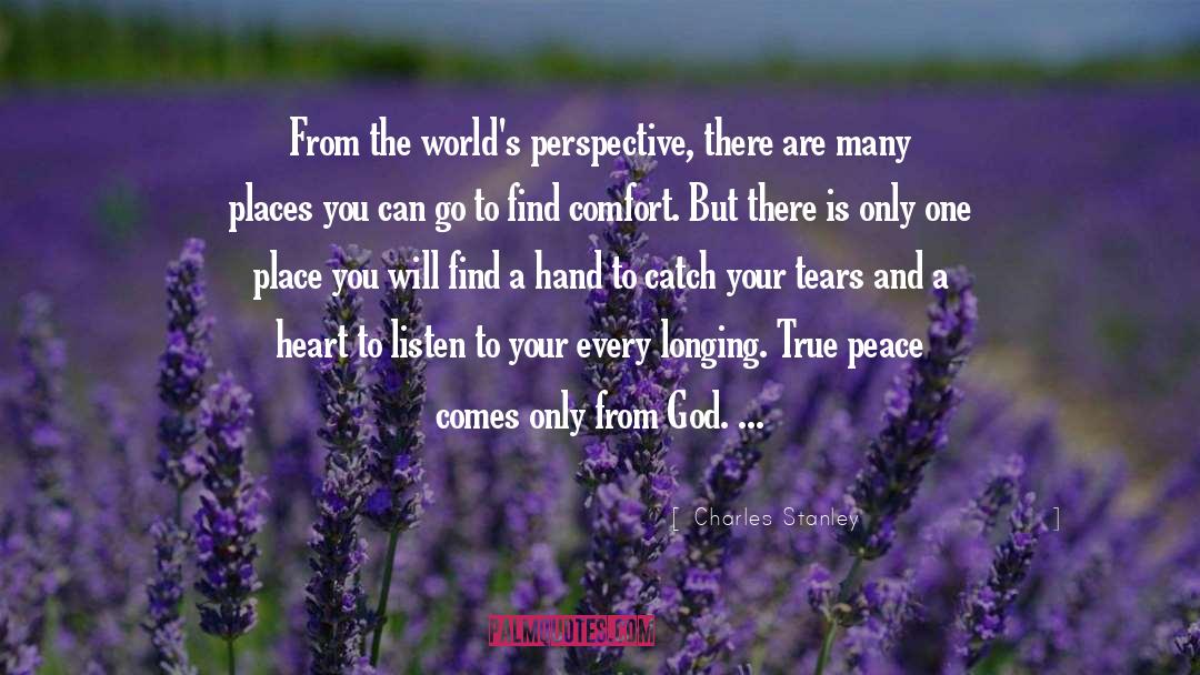 Charles Stanley Quotes: From the world's perspective, there