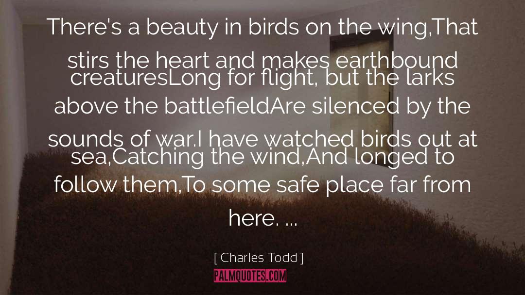 Charles Todd Quotes: There's a beauty in birds