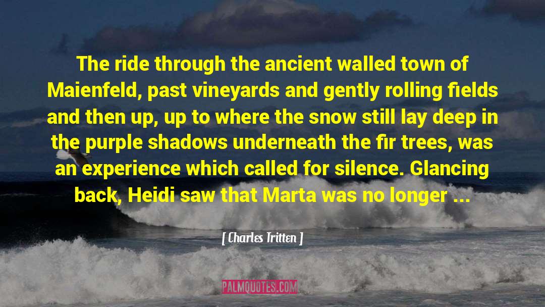 Charles Tritten Quotes: The ride through the ancient